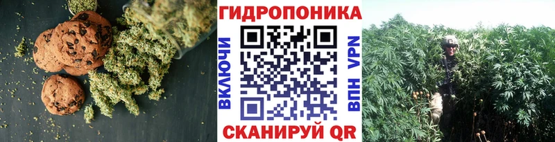 Cannafood марихуана  купить наркотик  Севастополь 
