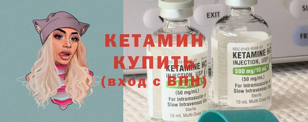 шишки Абаза