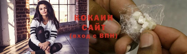 шишки Абаза