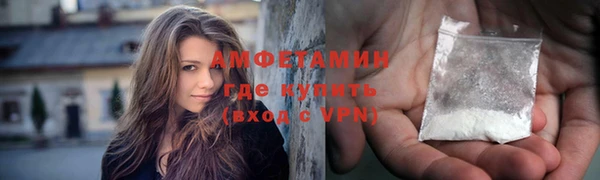 шишки Абаза