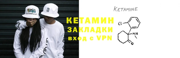 шишки Абаза