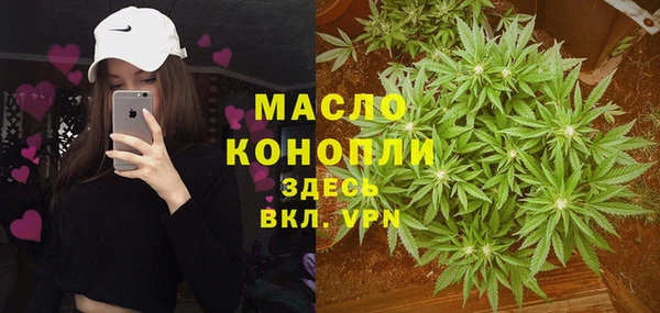 шишки Абаза