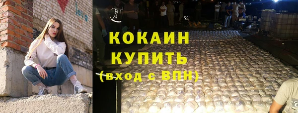 шишки Абаза