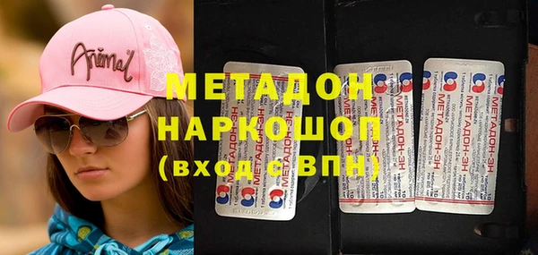 шишки Абаза