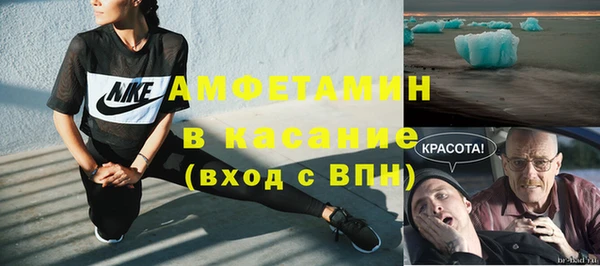 шишки Абаза