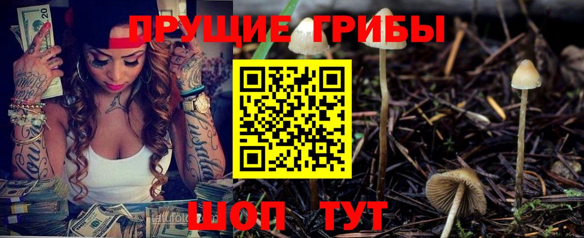 Псилоцибиновые грибы Magic Shrooms  Галлюциногенные грибы Magic Shrooms  Севастополь  купить наркотик  Вход с VPN 