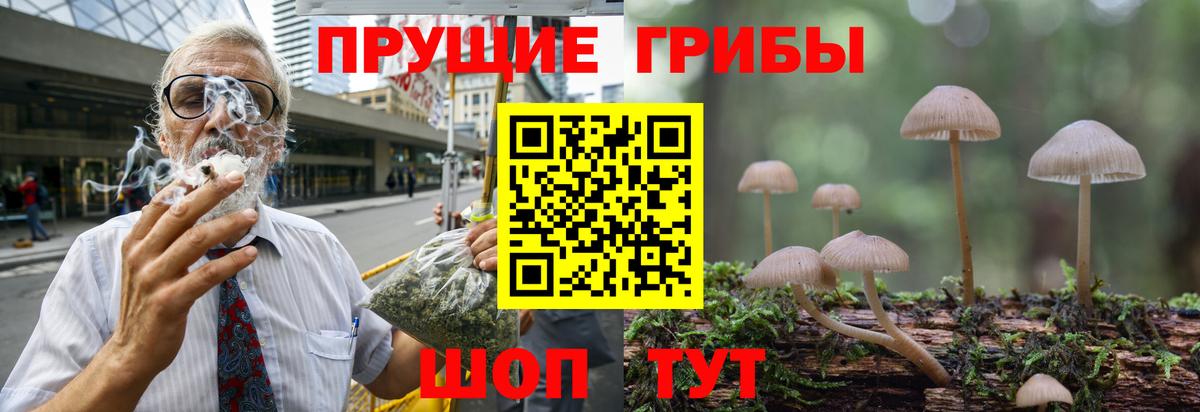 Псилоцибиновые грибы мицелий Севастополь
